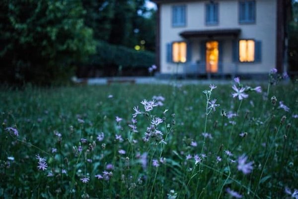 Les Secrets de la Vente des Pierres Dorées : Comment Trouver et Choisir les Meilleurs Joyaux